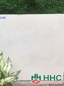 GẠCH LÁT NỀN 60X60  6024